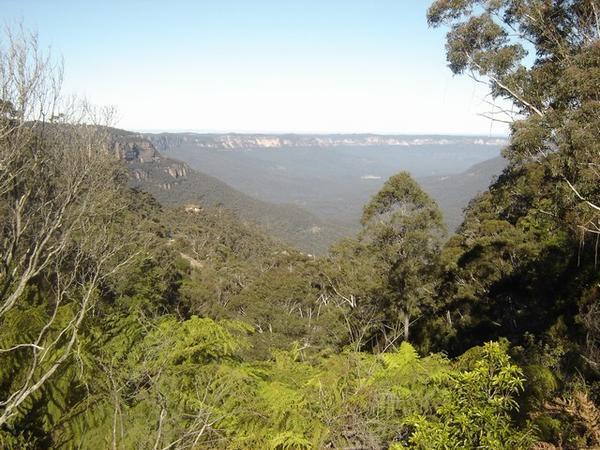 First view from the Blue Mountains