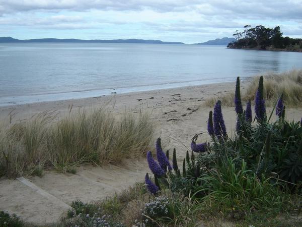 East Coast, Tasmania