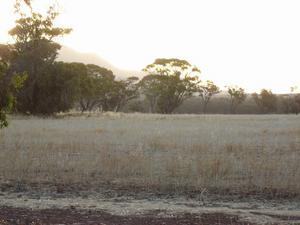 View from our tent, sunset, Stirling Range National Park