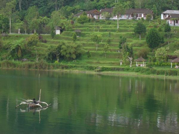 Terraced rice paddies next to Lake Bratan