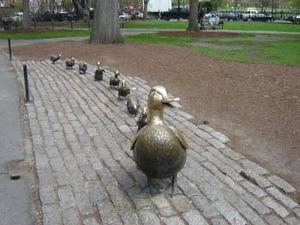 Duckling Statues in Boston's Public Garden