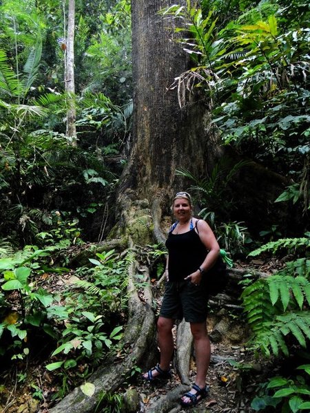 Me In The Rainforest