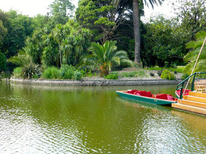 Punting on the Lake in the Botanic Gardens