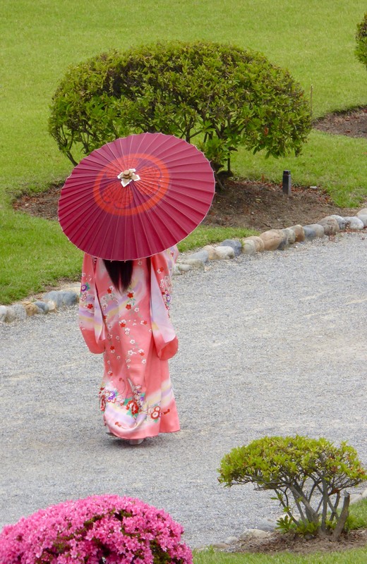 Geisha girl walking in the gardens