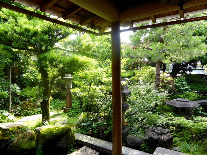 Samurai Tranquil Garden