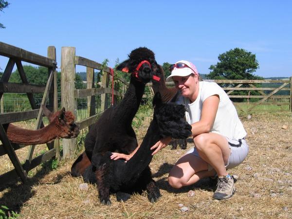 Moira finds her new vocation ... Alpaca Sex Counsellor !