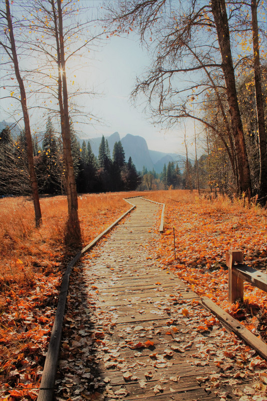 Autumn trails