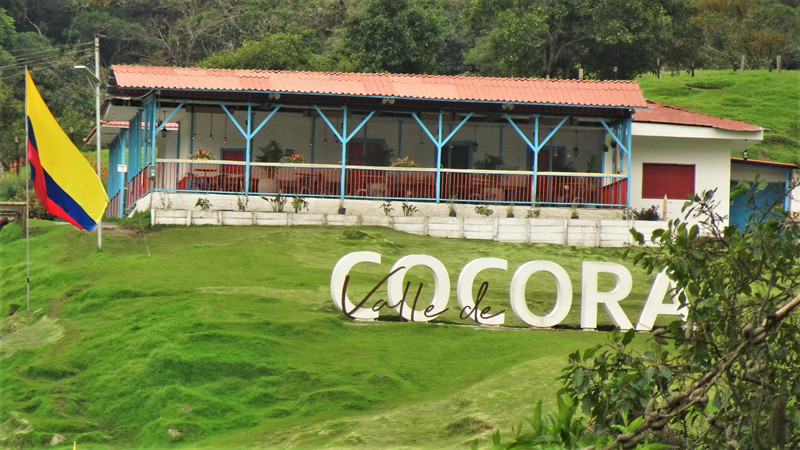 Valle Cocora