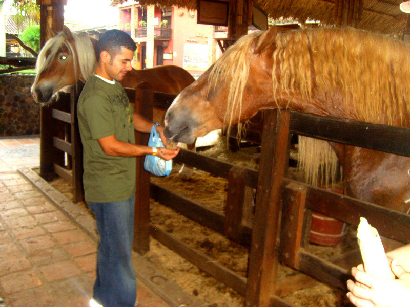 Panaca, Victor feeding the horses