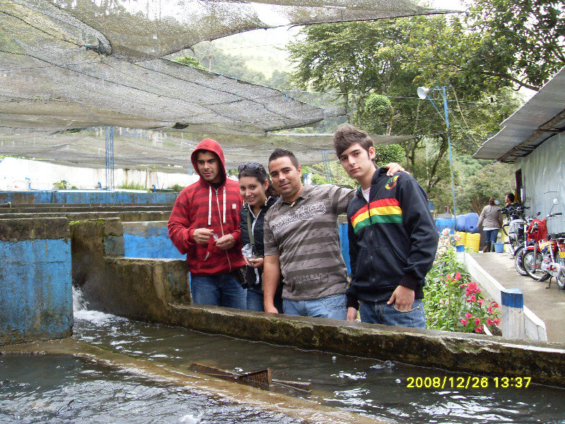At the trout farm in Cocora
