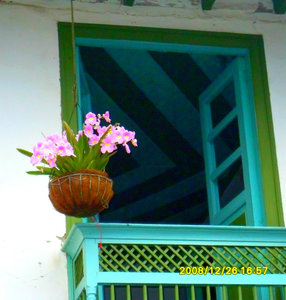 A window in Cocora