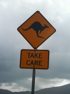 Watch out for Kangaroos! Australia