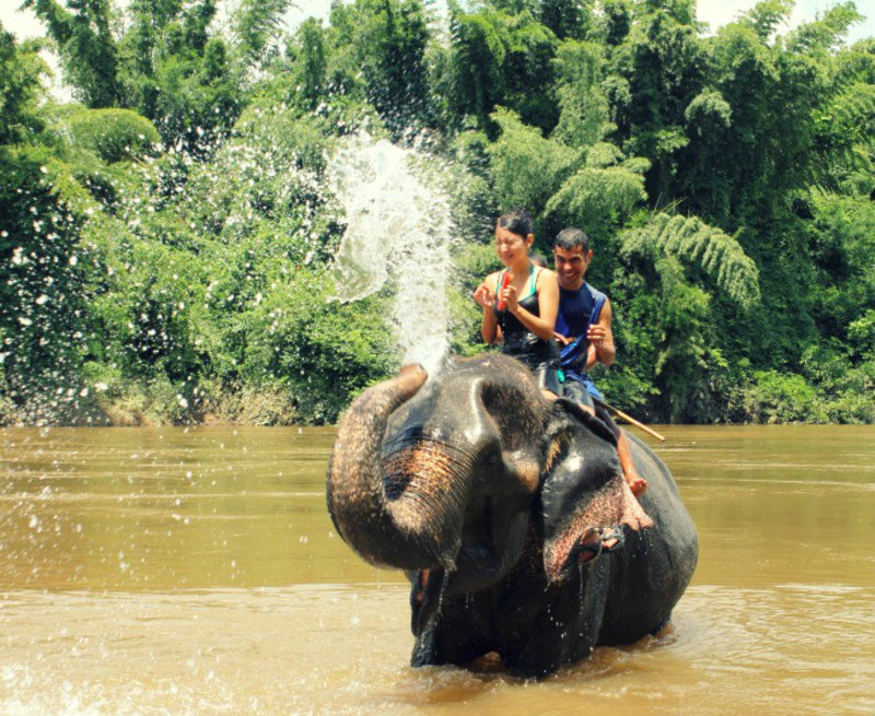 Elephant Bath, Splish Splash