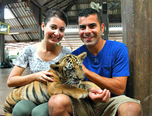 Tiger Temple babies