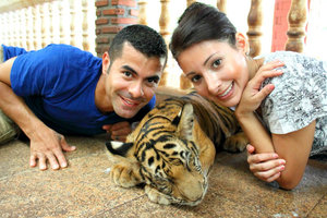 Tiger Temple babies