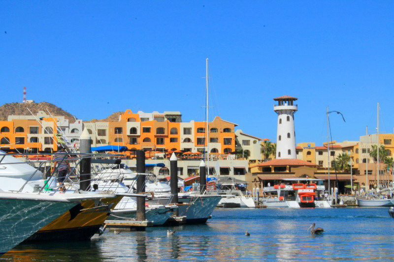 Cabo Marina