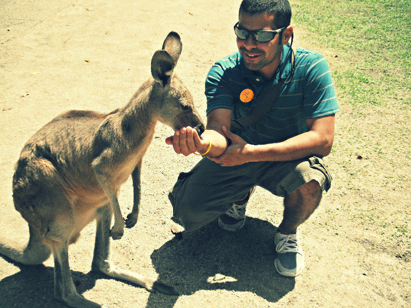 Victor feeding the adorable Kangaroos