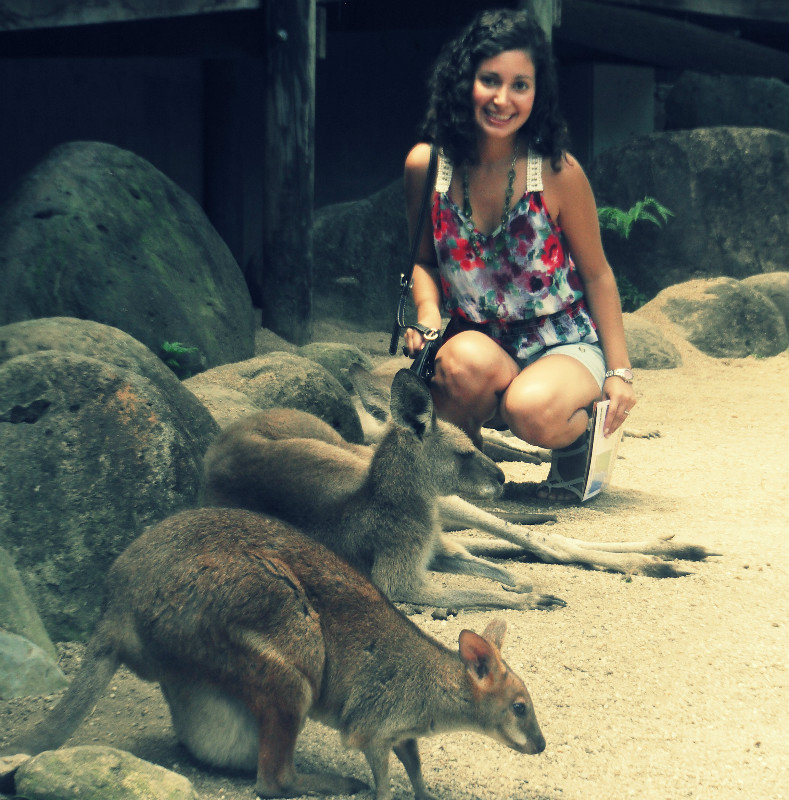 Hanging with the wallabies, you know, typical day! ha!