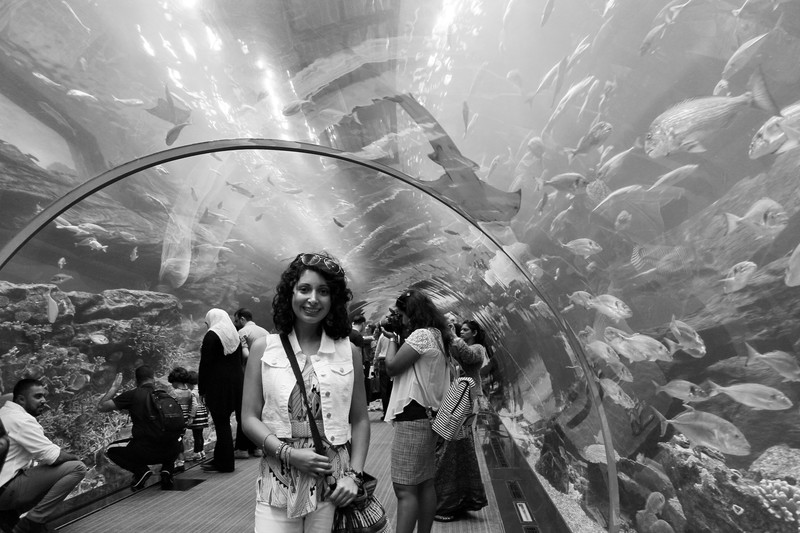 The Aquarium @ the Dubai Mall