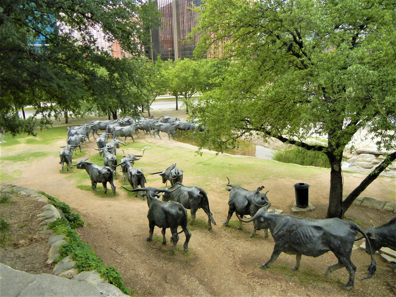 Bronze cattle statues sprawled all over the city