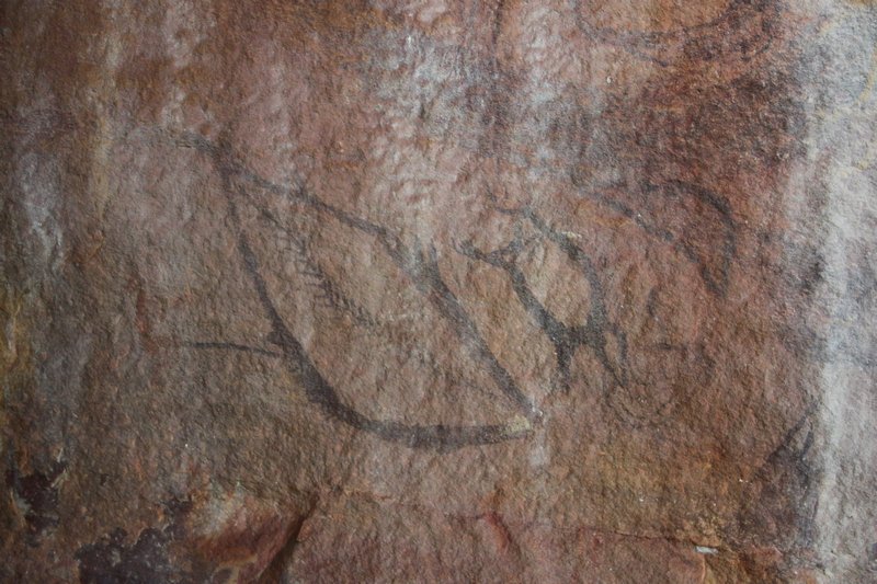 Ancient rock art behind the falls (Gwion)
