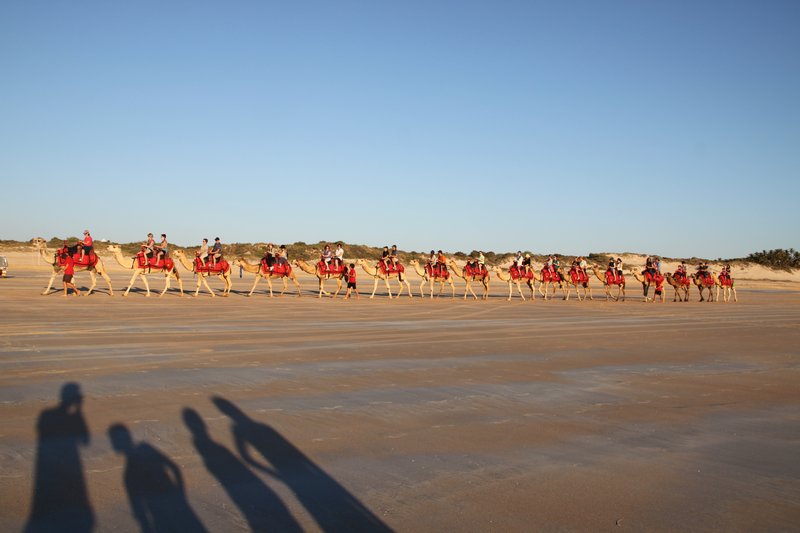 Pre-sunset camel ride