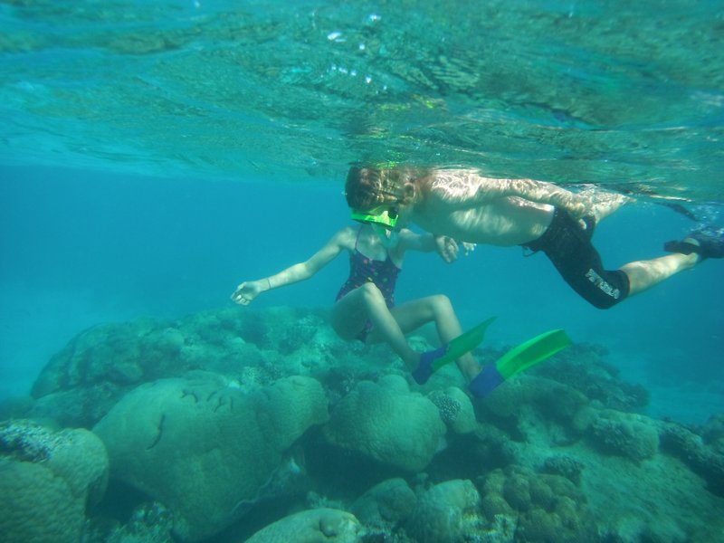 Intrepid snorkellers