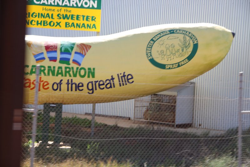 Carnarvon's Big Banana