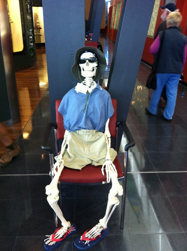 Mr Bones at the Geraldton Museum!