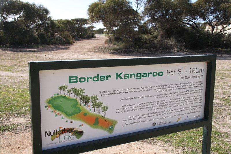 Border Kangaroo hole description