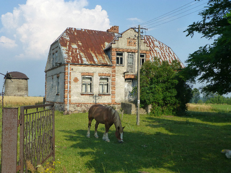 Polish hauskeeping horse