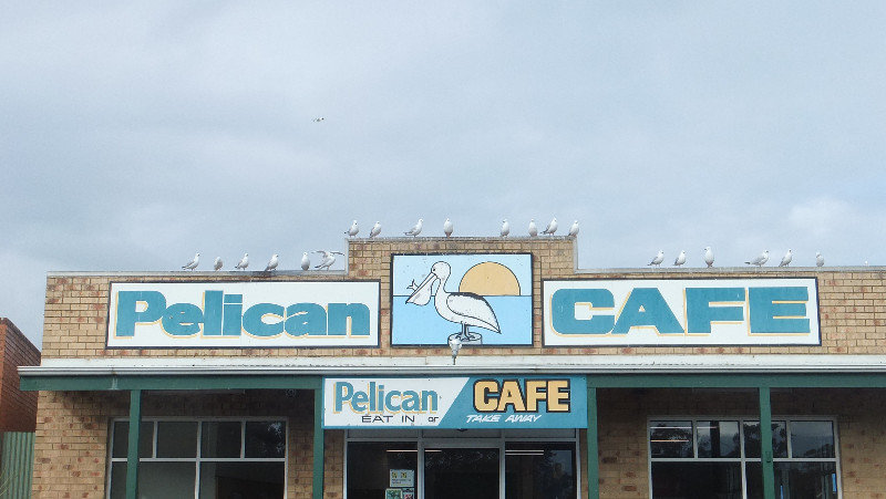 Seagull cafe
