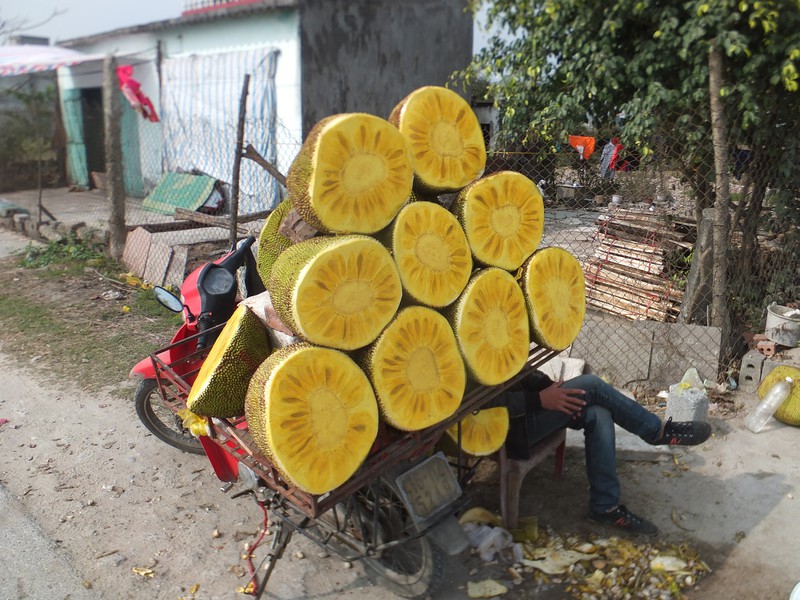 The mango-like fruit