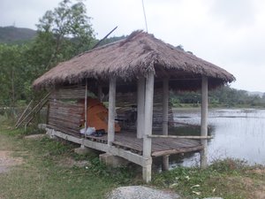 Bambu house