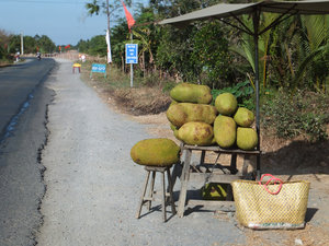 Jackfruit on roadside shop