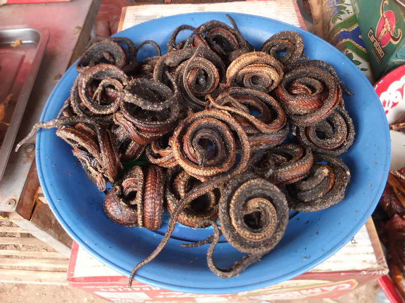 Fried snakes