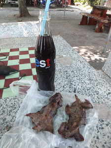 Rat with cola