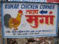 Chicken Illustration in Bhagsu