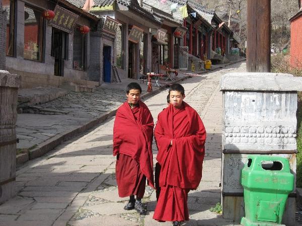 Jovenes monjes / Young monks