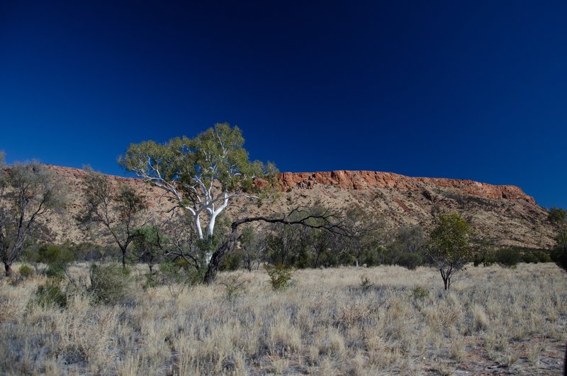 Alice Springs2