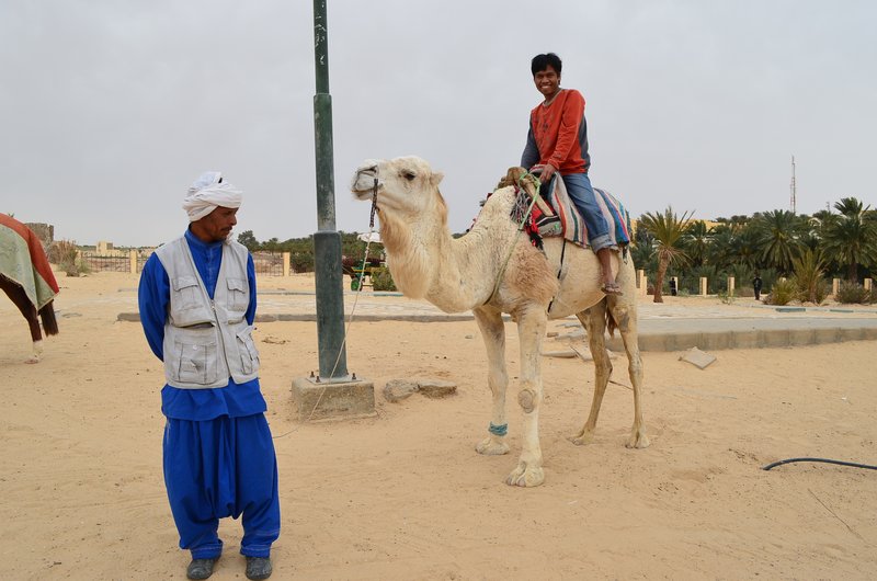 Ride the Camel for the first time in my life