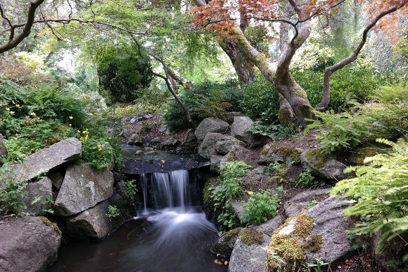 The stream through Beacon Hill Park
