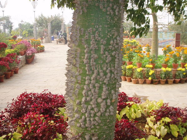 Five Senses Garden Delhi
