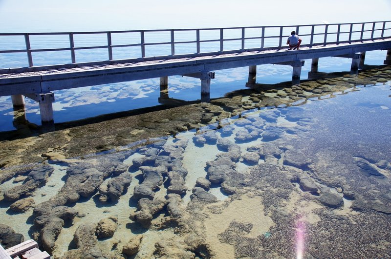 Boardwalk over the stromatolites