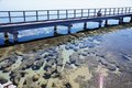 Boardwalk over the stromatolites