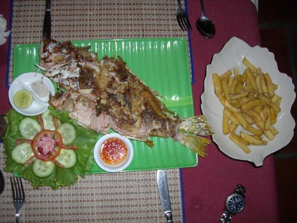 Refore - red snapper