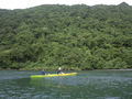 Cape Trib kayaking