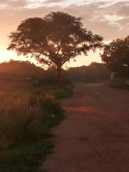 The road to Uganda