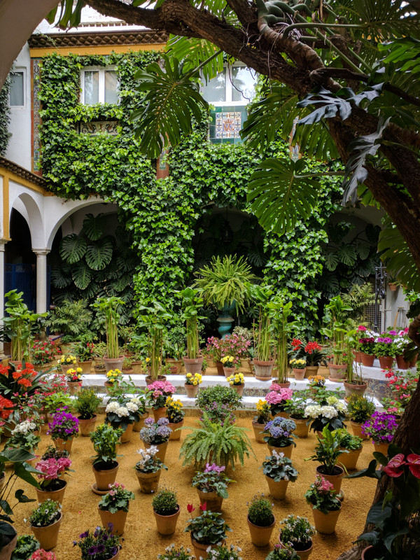 Courtyard in barrio