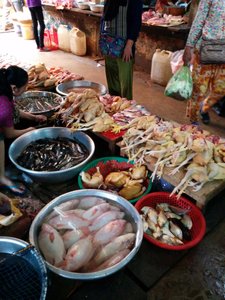 Kampot market 1